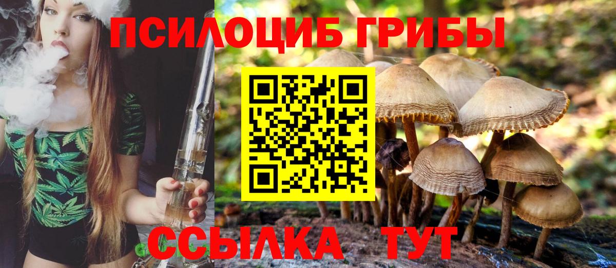 Галлюциногенные грибы Magic Shrooms Ижевск