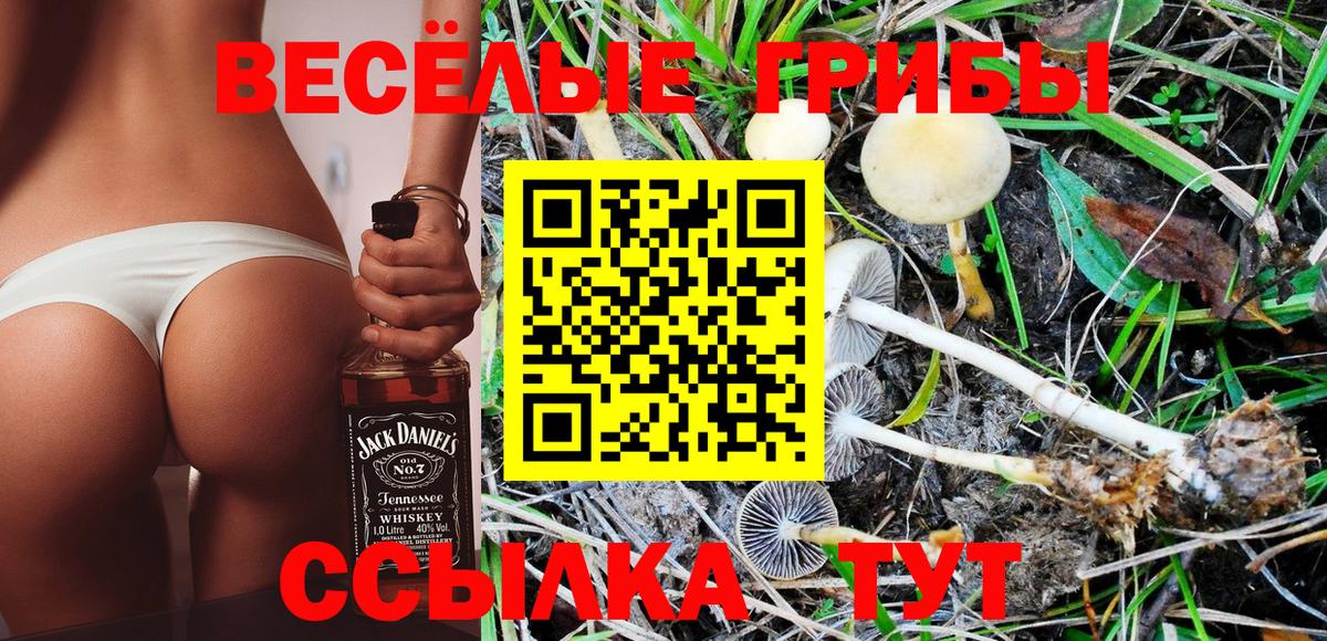 Ижевск  Псилоцибиновые грибы Psilocybe  Вход с VPN  Галлюциногенные грибы Cubensis 